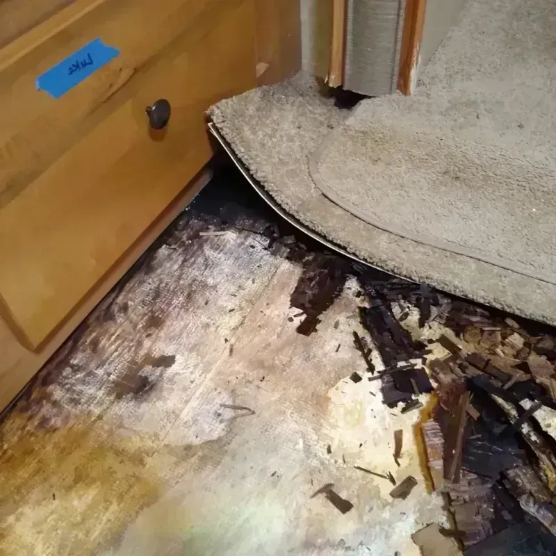 Best Wood Floor Water Damage Service in Hendry County, FL